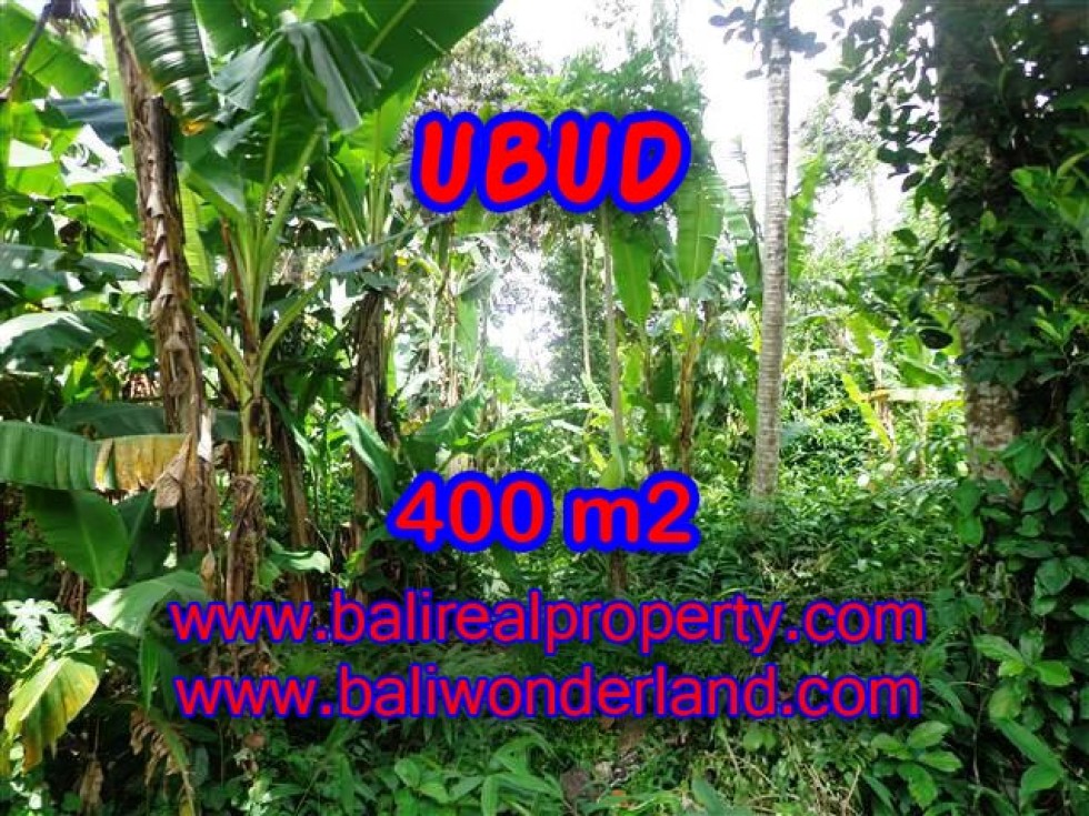 TANAH DI BALI, MURAH DI UBUD DIJUAL TJUB371 – INVESTASI PROPERTY DI BALI