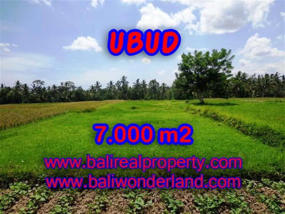 INVESTASI PROPERTI DI BALI – TANAH DI BALI, MURAH DI UBUD DIJUAL RP 2.750.000 / M2 – TJUB381