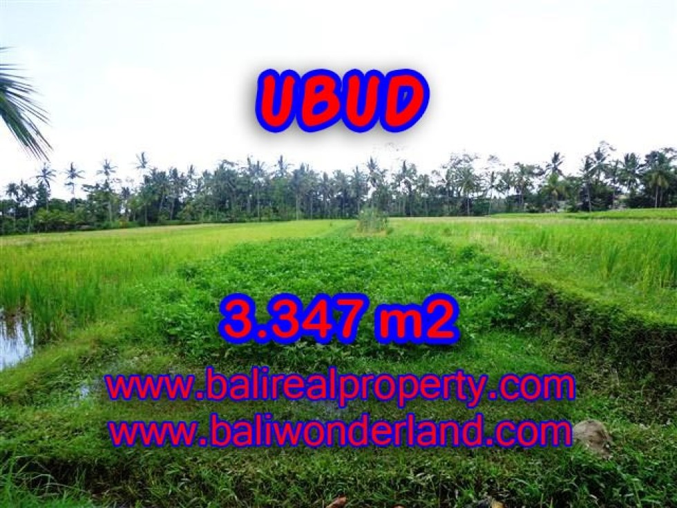 MURAH ! TANAH DI UBUD BALI TJUB380 – INVESTASI PROPERTY DI BALI