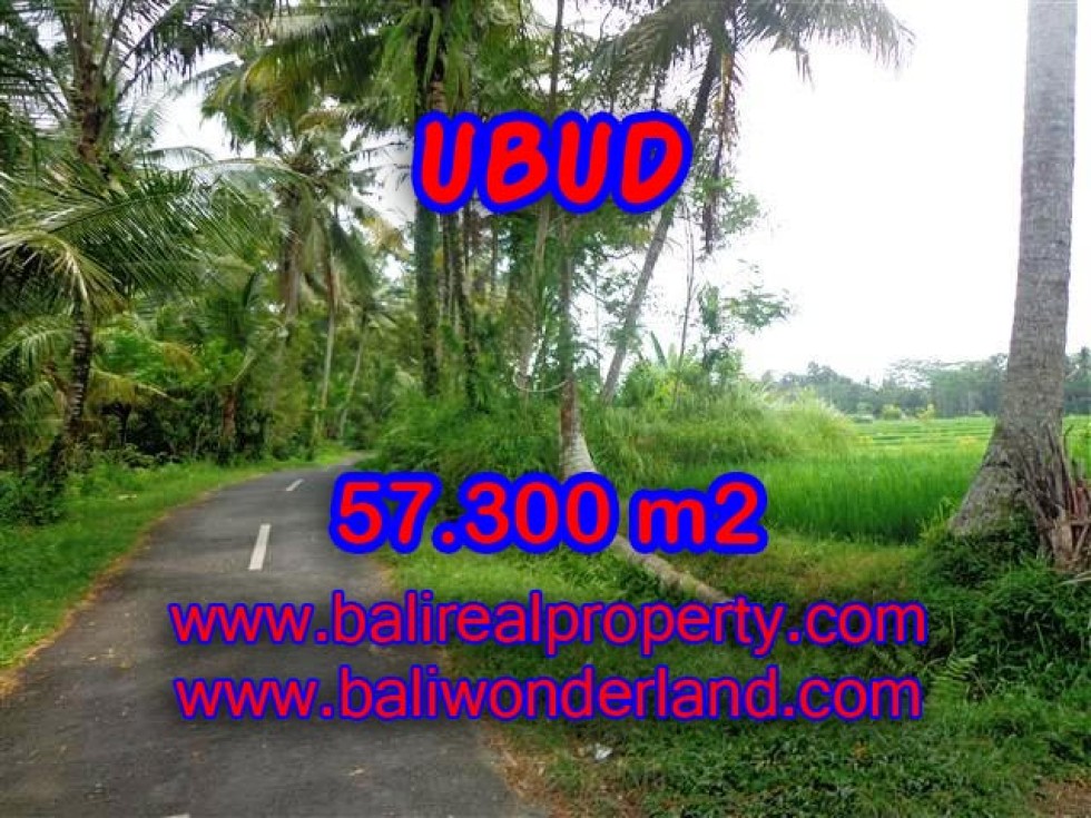 INVESTASI PROPERTI DI BALI – TANAH DIJUAL DI UBUD BALI TJUB377