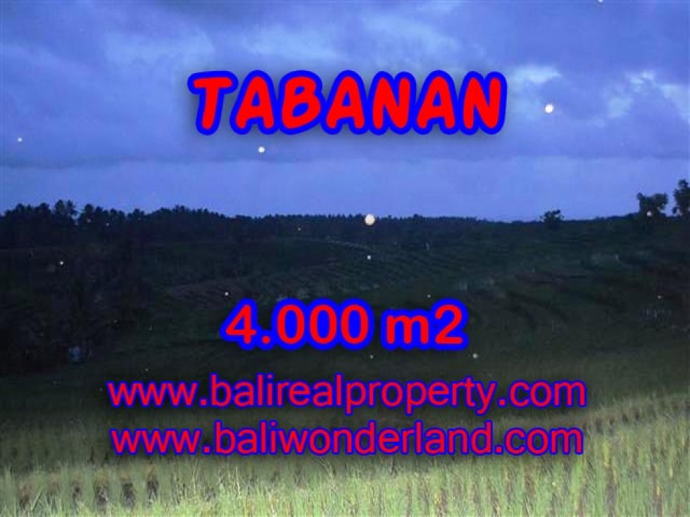 INVESTASI PROPERTI DI BALI – TANAH DIJUAL DI TABANAN BALI TJTB096