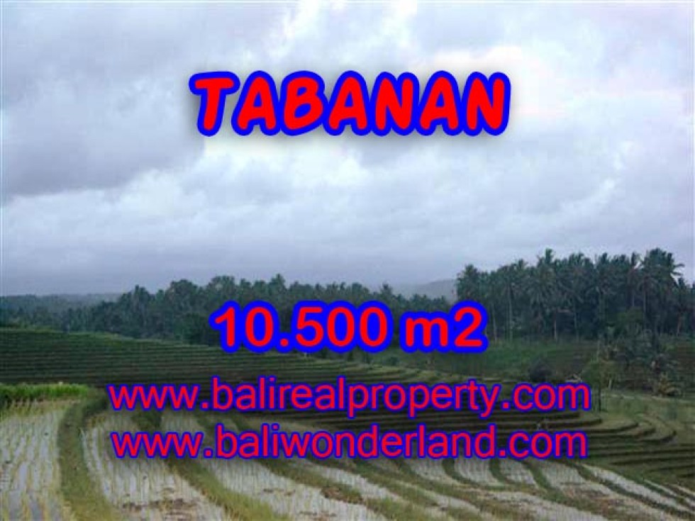 INVESTASI PROPERTI DI BALI – JUAL TANAH DI TABANAN BALI TJTB095