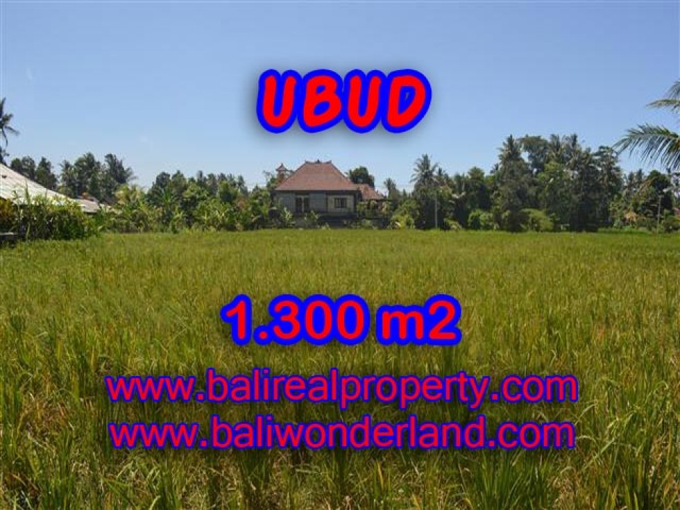 TANAH DIJUAL DI UBUD BALI TJUB386 – PELUANG INVESTASI PROPERTY DI BALI