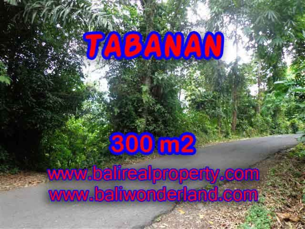 TANAH DIJUAL DI TABANAN BALI TJTB116