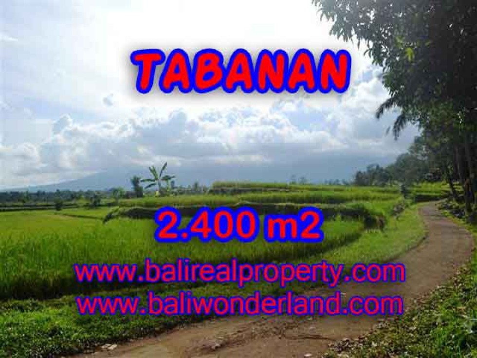 INVESTASI PROPERTI DI BALI – TANAH DIJUAL DI TABANAN BALI TJTB126