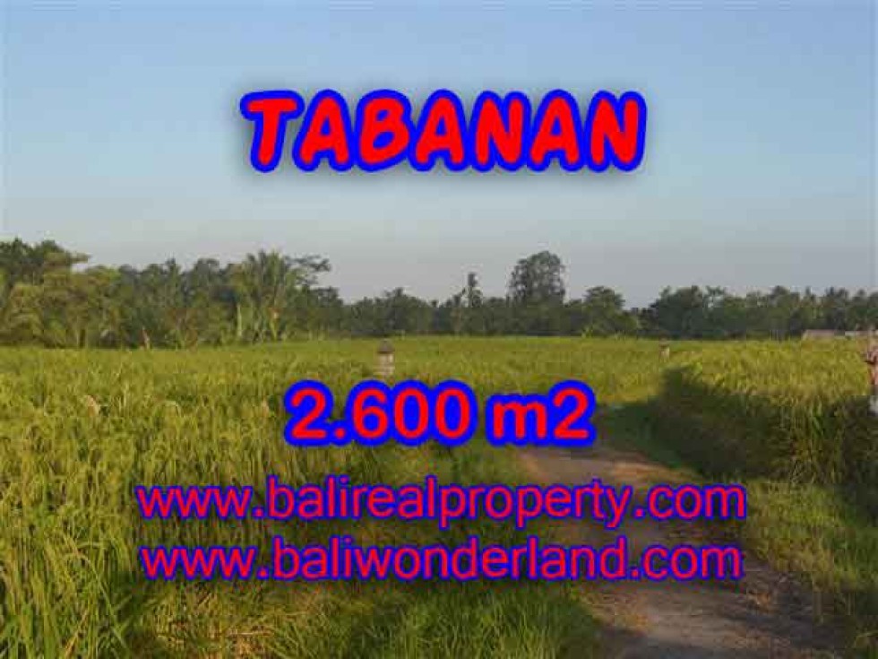 DIJUAL MURAH TANAH DI TABANAN TJTB129 – PELUANG INVESTASI PROPERTY DI BALI