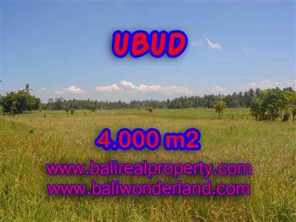 PELUANG INVESTASI PROPERTI DI BALI – TANAH DI UBUD DIJUAL TJUB387