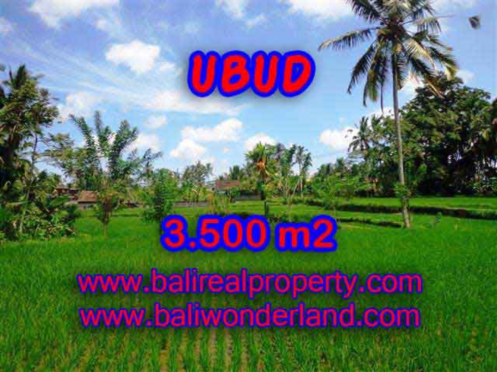 DIJUAL TANAH MURAH DI UBUD BALI TJUB388