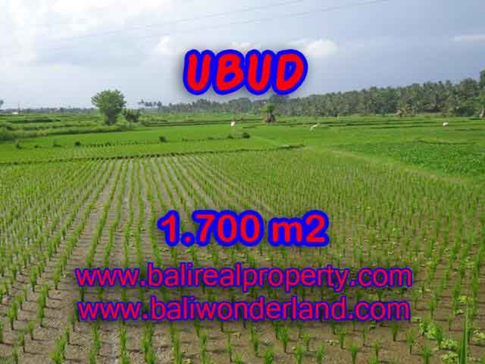 INVESTASI PROPERTI DI BALI – DIJUAL TANAH MURAH DI UBUD TJUB398