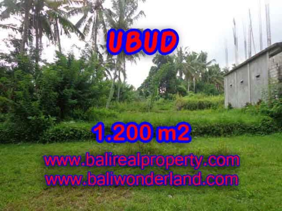 DI JUAL TANAH DI UBUD BALI TJUB399 – PELUANG INVESTASI PROPERTY DI BALI