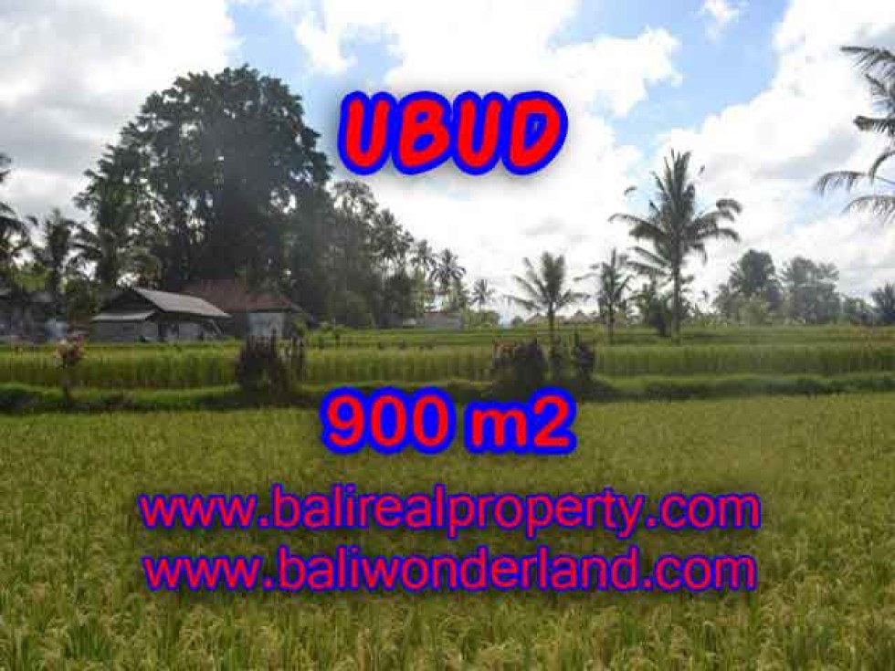 INVESTASI PROPERTI DI BALI – DIJUAL TANAH DI BALI, MURAH DI UBUD TJUB412