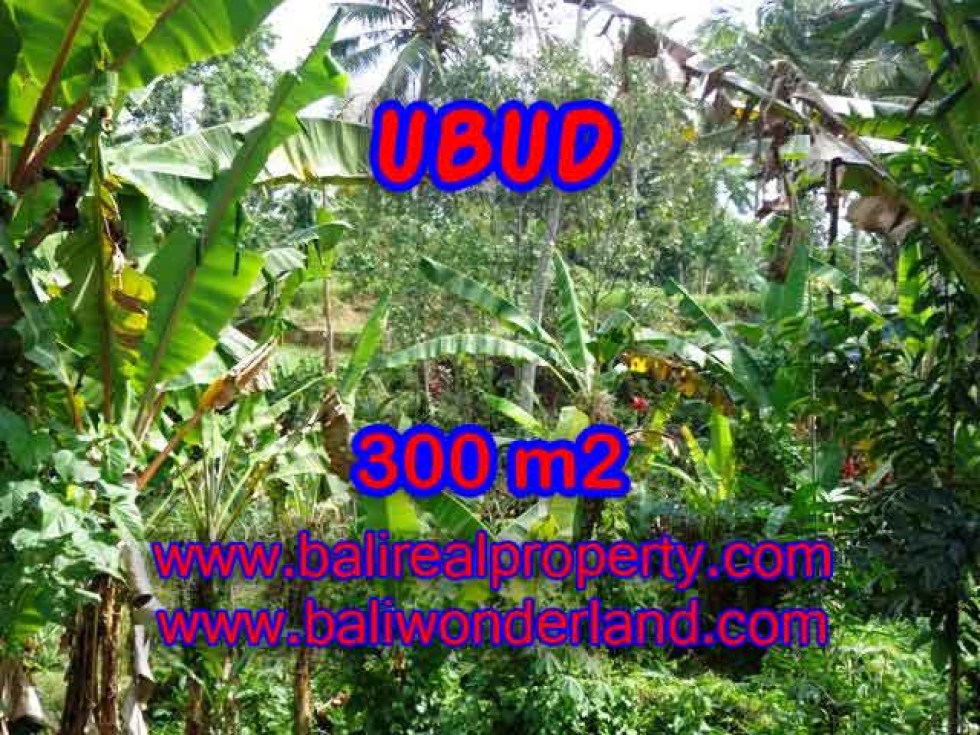 JUAL TANAH DI UBUD BALI TJUB415 – PELUANG INVESTASI PROPERTY DI BALI