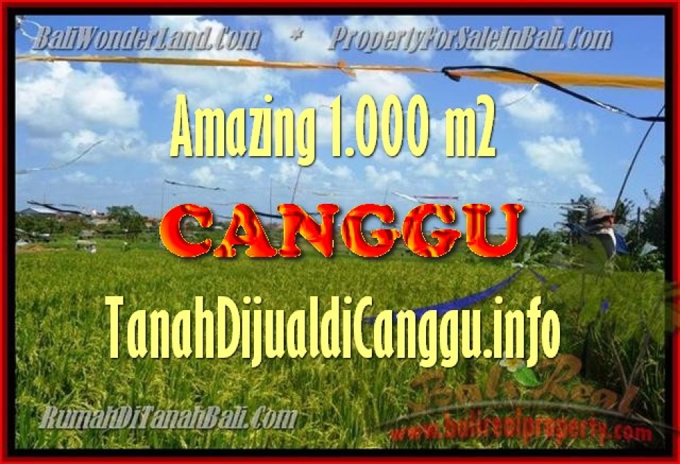 DIJUAL MURAH TANAH di CANGGU BALI 1.000 m2 di Canggu Kayutulang