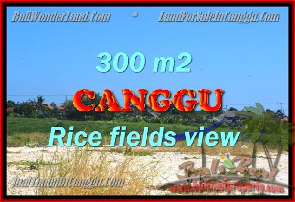 TANAH MURAH  di CANGGU BALI DIJUAL 300 m2  View Sawah