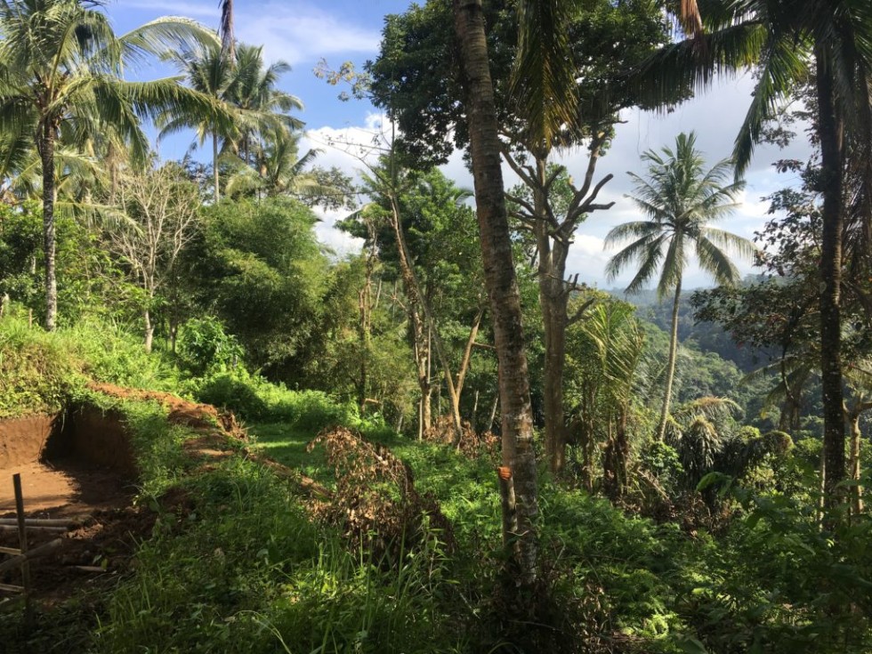 Tanah Dijual Murah di Teras Ayung Ubud dengan View Sungai