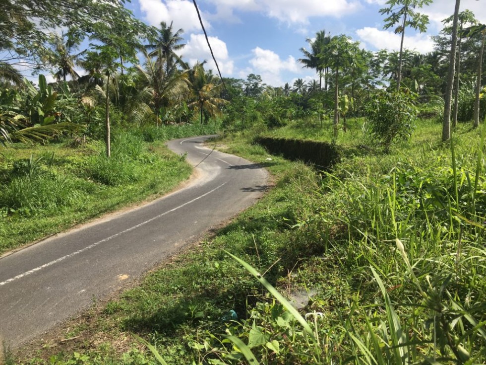 Tanah Cantik Dijual Murah di Teras Ayung Ubud cocok untuk Villa