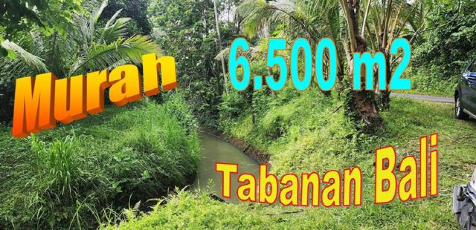 TANAH di TABANAN BALI DIJUAL MURAH 65 Are View Sungai dan Hutan