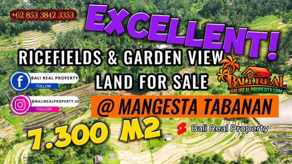 TANAH MURAH JUAL di TABANAN BALI 7,200 m2 View Sawah, Gunung dan Kebun