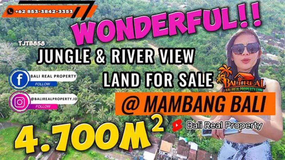 TANAH DIJUAL MURAH di TABANAN BALI 4,700 m2 di Selemadeg Timur