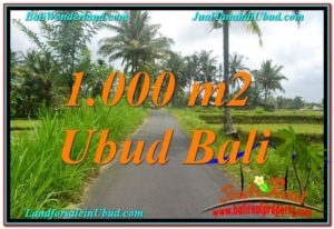 JUAL TANAH di UBUD BALI 1,000 m2 View Sawah, Link. Villa