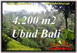 TANAH MURAH di UBUD BALI DIJUAL 42 Are View Tebing dan Sungai, Link. Villa