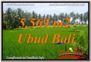 TANAH JUAL MURAH UBUD 5,569 m2 View Sawah dan Sungai Kecil