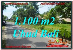 TANAH di UBUD DIJUAL MURAH Untuk INVESTASI TJUB645