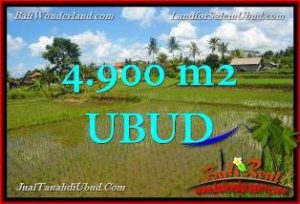 TANAH di UBUD JUAL 49 Are View Sawah link Villa