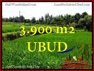 DIJUAL TANAH MURAH di UBUD Untuk INVESTASI TJUB658