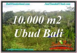 JUAL TANAH MURAH di UBUD 10,500 m2 VIEW SUNGAI DAN TEBING