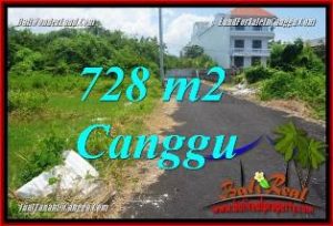 DIJUAL MURAH TANAH di CANGGU TJCG222