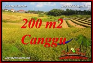 JUAL MURAH TANAH di CANGGU Untuk INVESTASI TJCG228