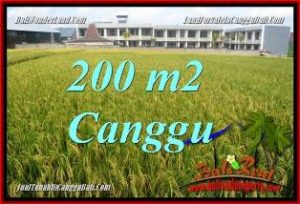 JUAL TANAH di CANGGU BALI TJCG229