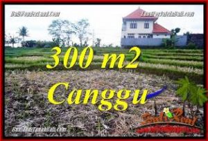 INVESTASI PROPERTI, DIJUAL TANAH di CANGGU BALI TJCG230