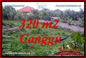 TANAH MURAH di CANGGU DIJUAL 3.2 Are di CANGGU PERERENAN