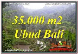 INVESTASI PROPERTY, JUAL MURAH TANAH di UBUD BALI TJUB674