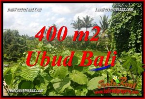 Tanah Murah di Ubud Bali Dijual 4 Are di Sentral Ubud