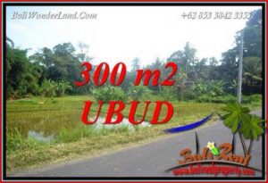 Tanah Dijual di Ubud 3 Are di Sentral Ubud