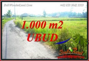 Tanah di Ubud Dijual Murah TJUB739