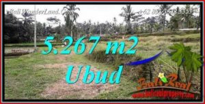 Investasi Property, Tanah Murah di Ubud Bali Dijual TJUB743